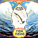 Steve Hillage - Fish Rising